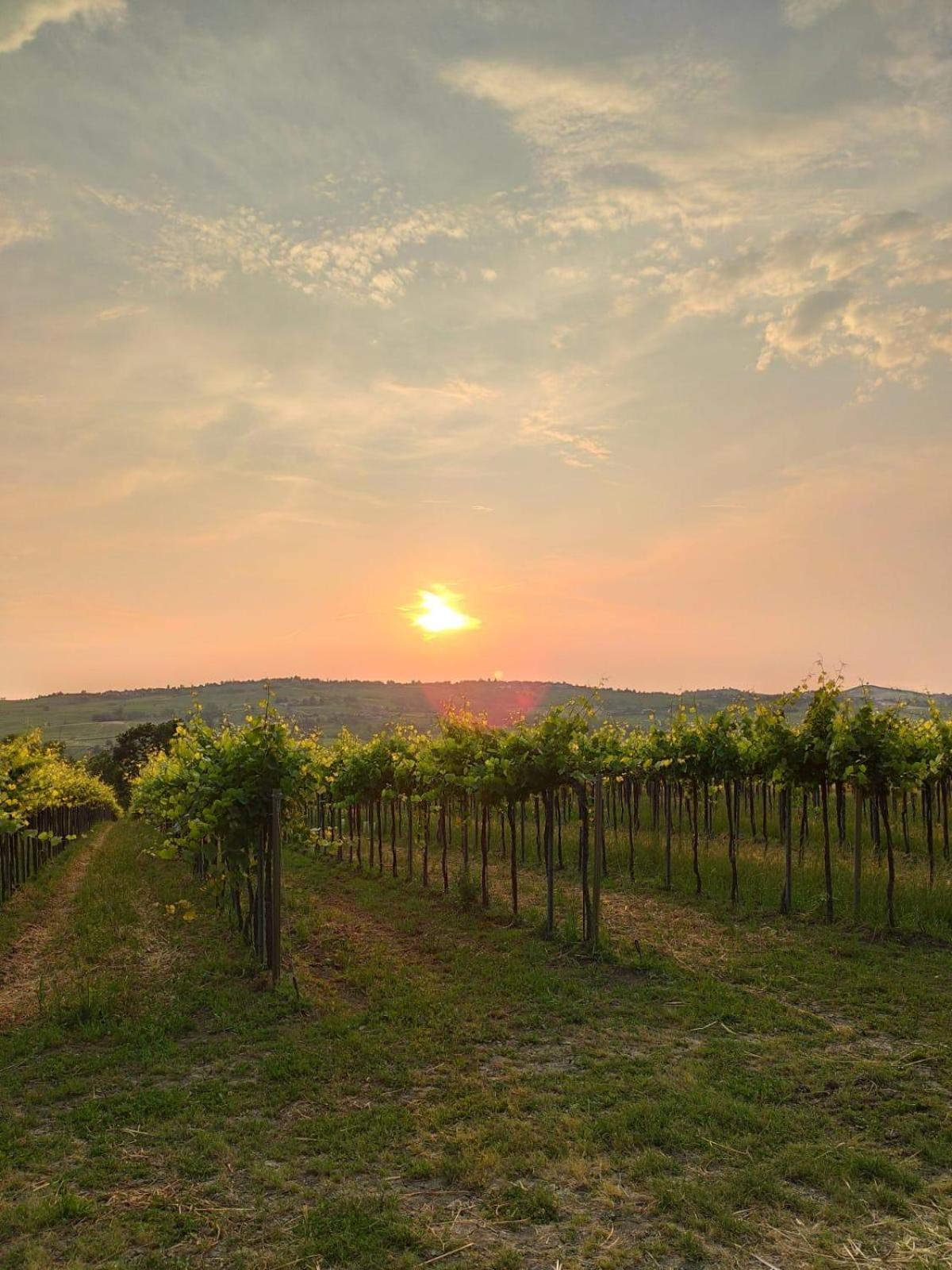 Agriturismo Bosco Longhino Santa Maria della Versa 外观 照片